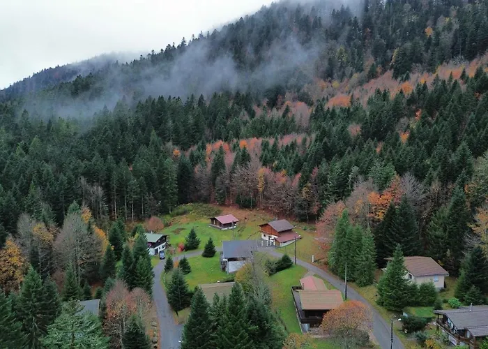 Des Belles Roches, 14 Pers, Garden, Sauna 샬레 *